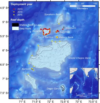 Estimating Space Use of Mobile Fishes in a Large Marine Protected Area With Methodological Considerations in Acoustic Array Design